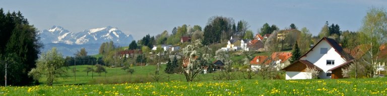 Header comp_1200x300--357.jpg